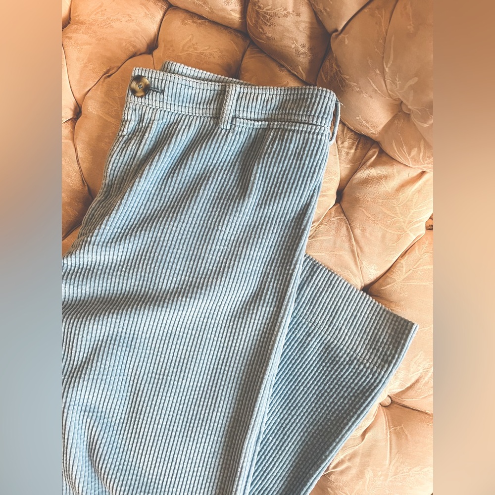 🦋Anthropologie🦋 Powder Blue Cords / Size 29